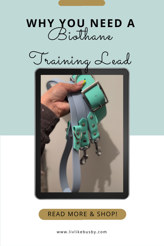Biothane Training Lead