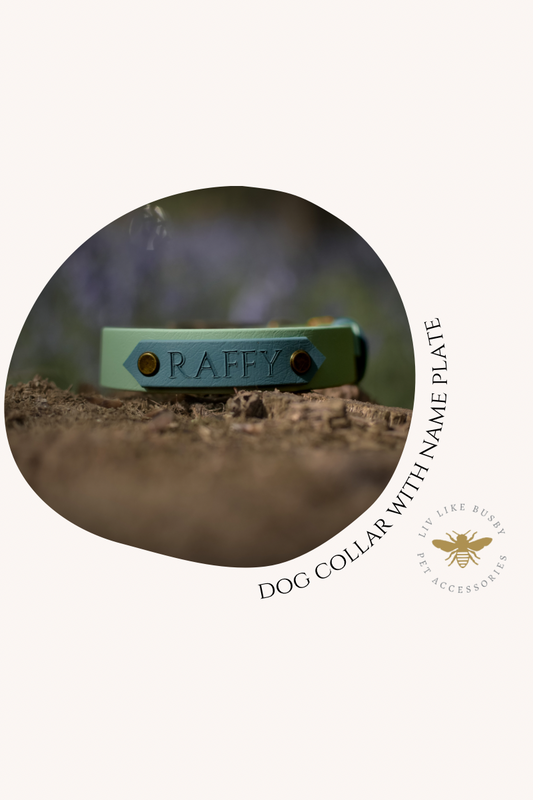 Dog collar with embossed name