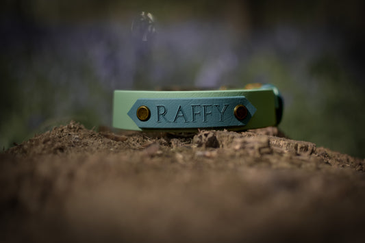 Green personalised dog collar with a blue name