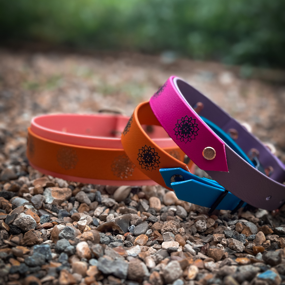 Mandala dog collars in multi colours