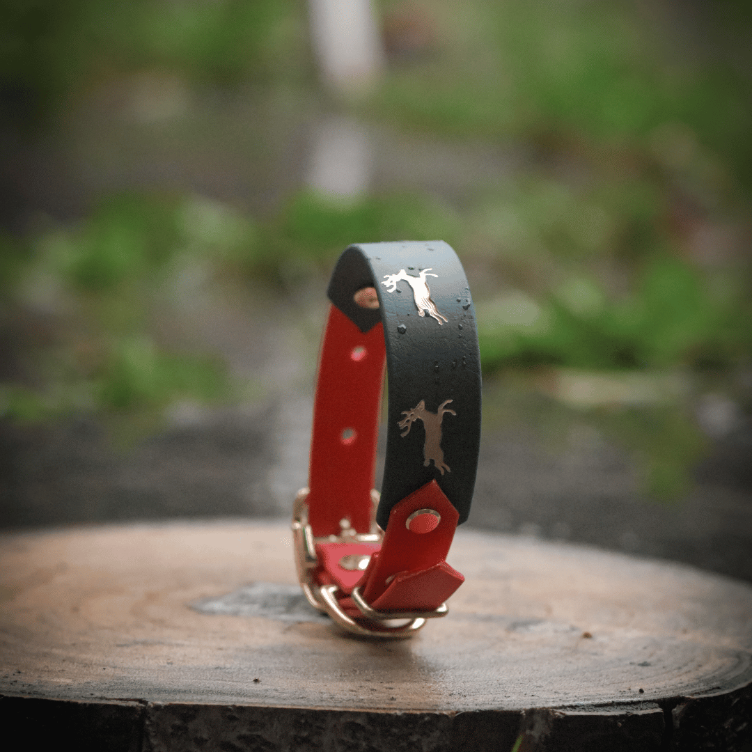 Reindeer hound style dog collar in red and green