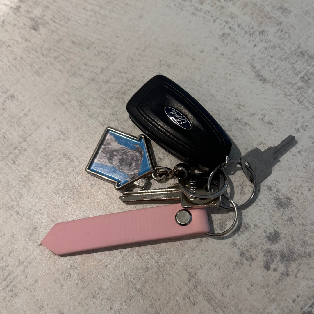 Mystery Biothane Keyring