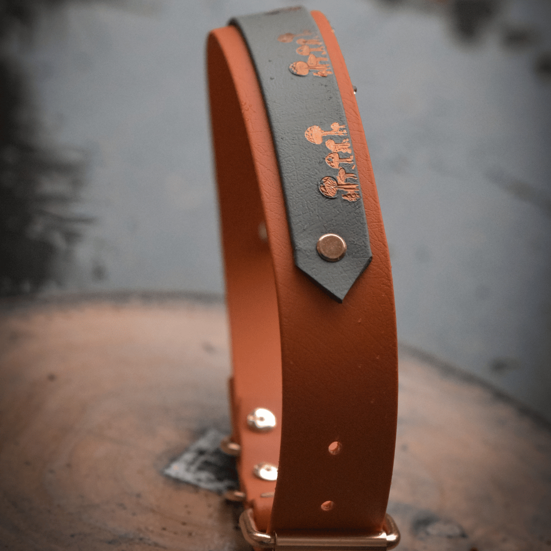 Autumn inspired dog collar