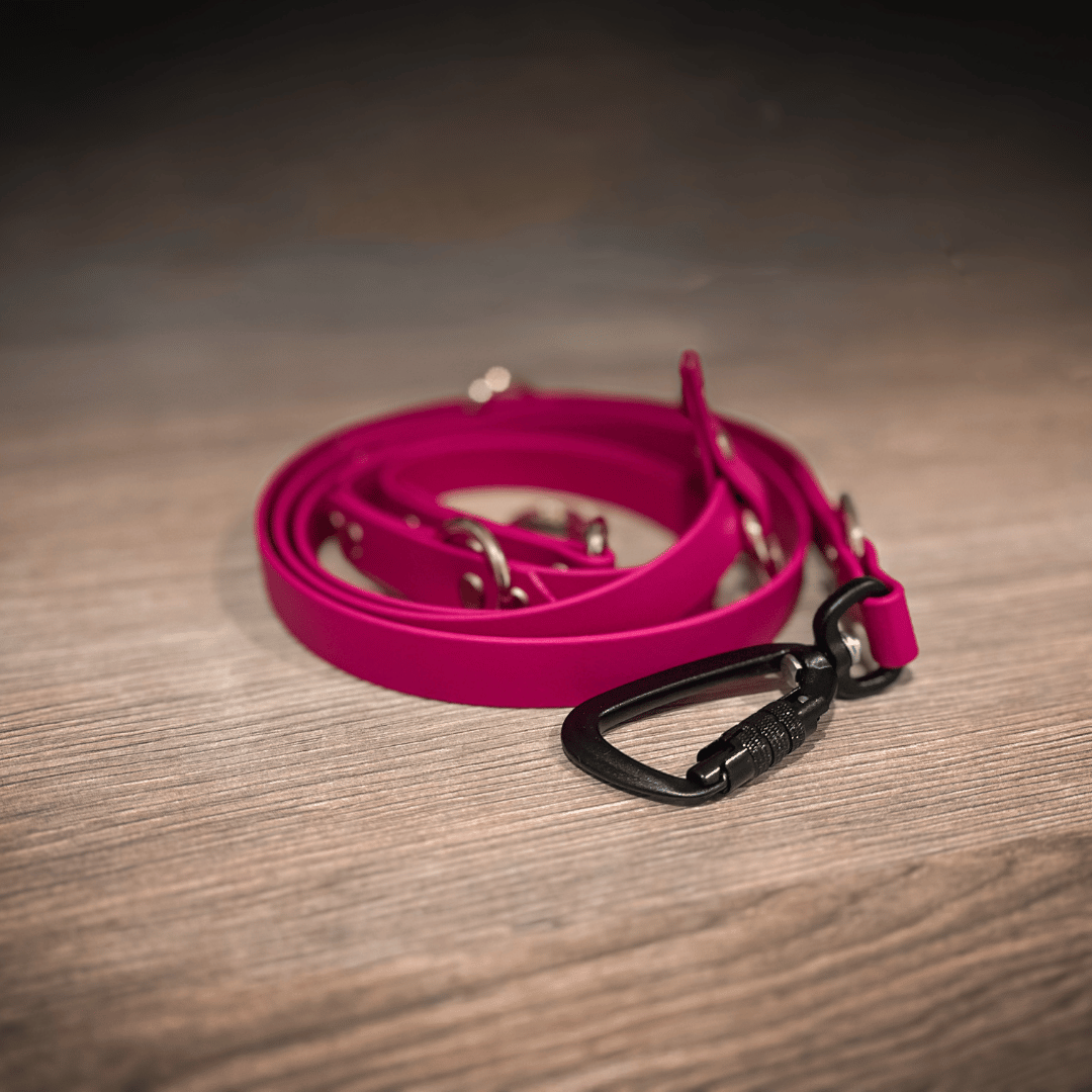 Multi-Way Hands Free Dog Lead
