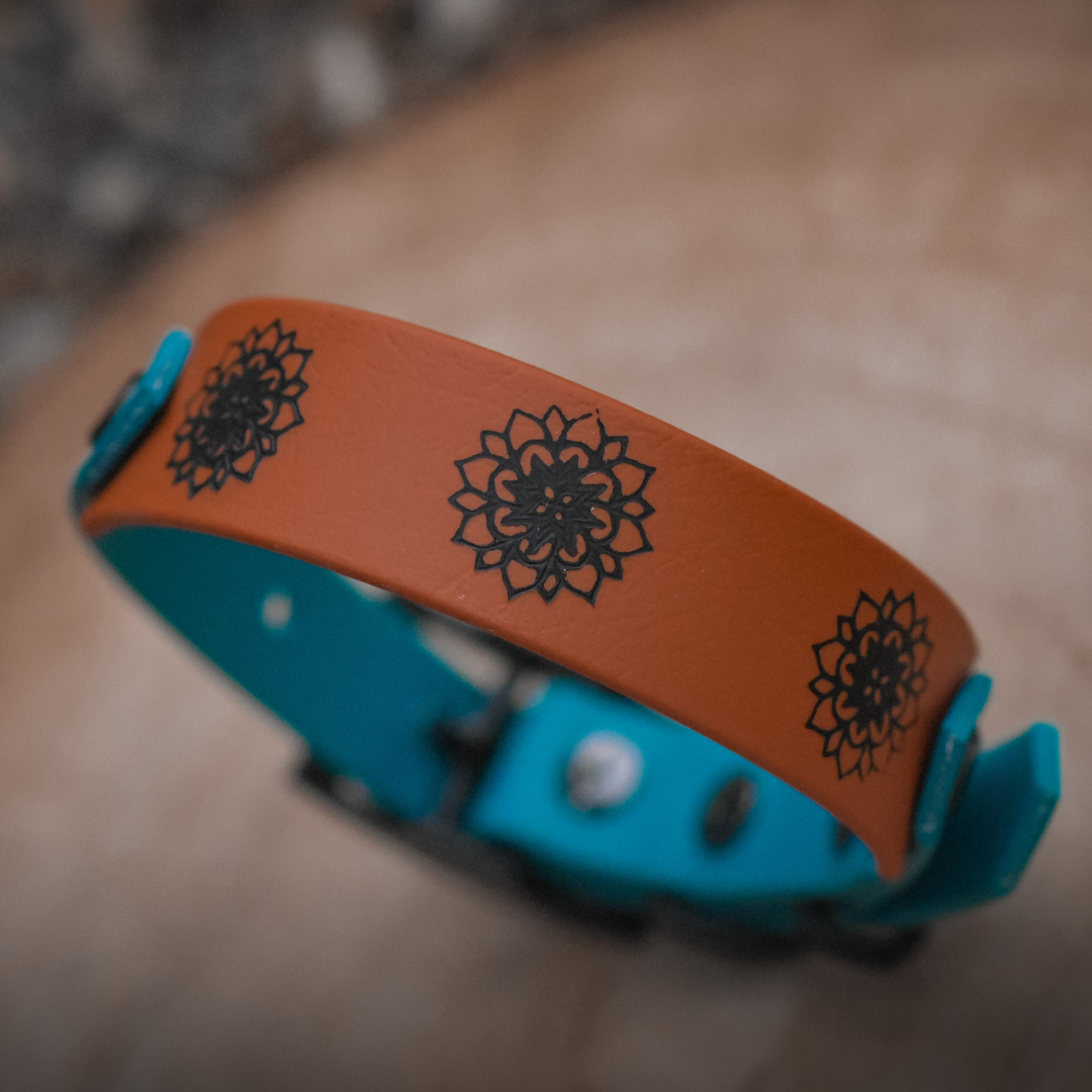 Orange and black dog collar