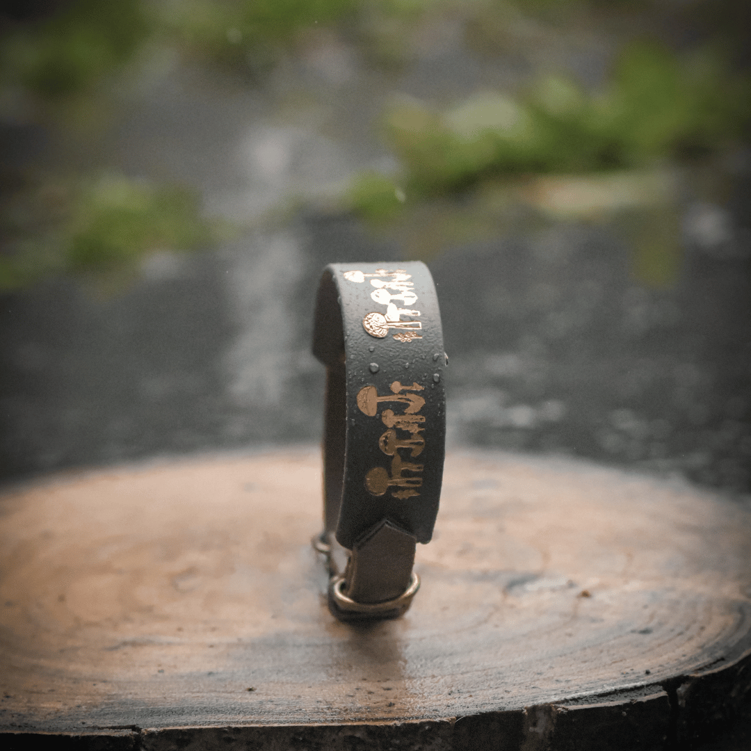 Hound style dog collar with mushroom print