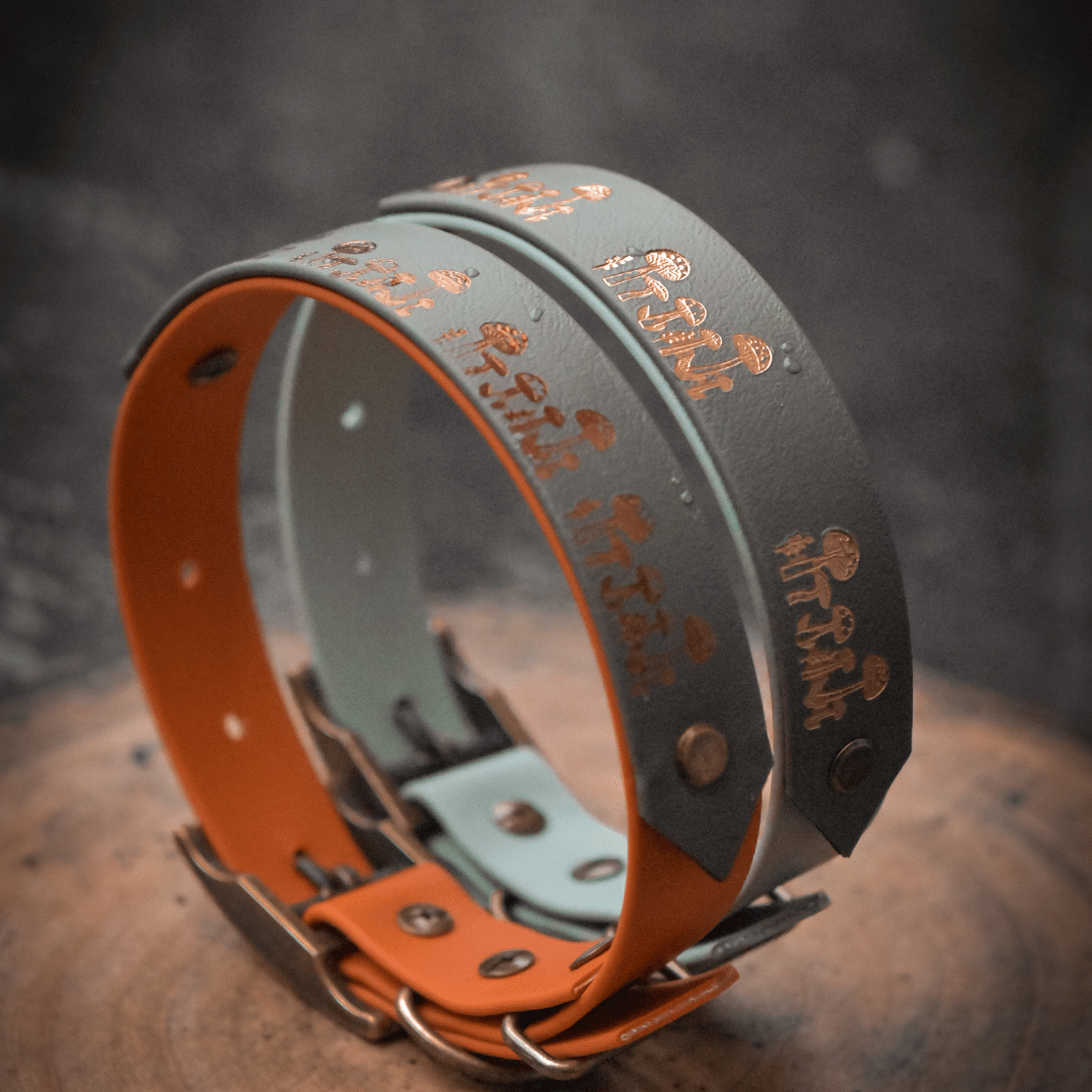 Mushroom dog collars in green