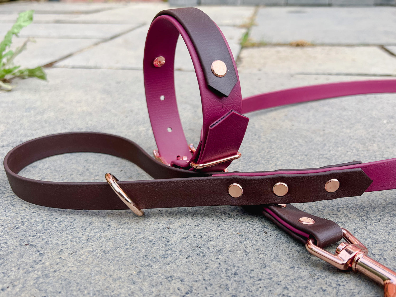 Biothane Dog Collar and Leash set