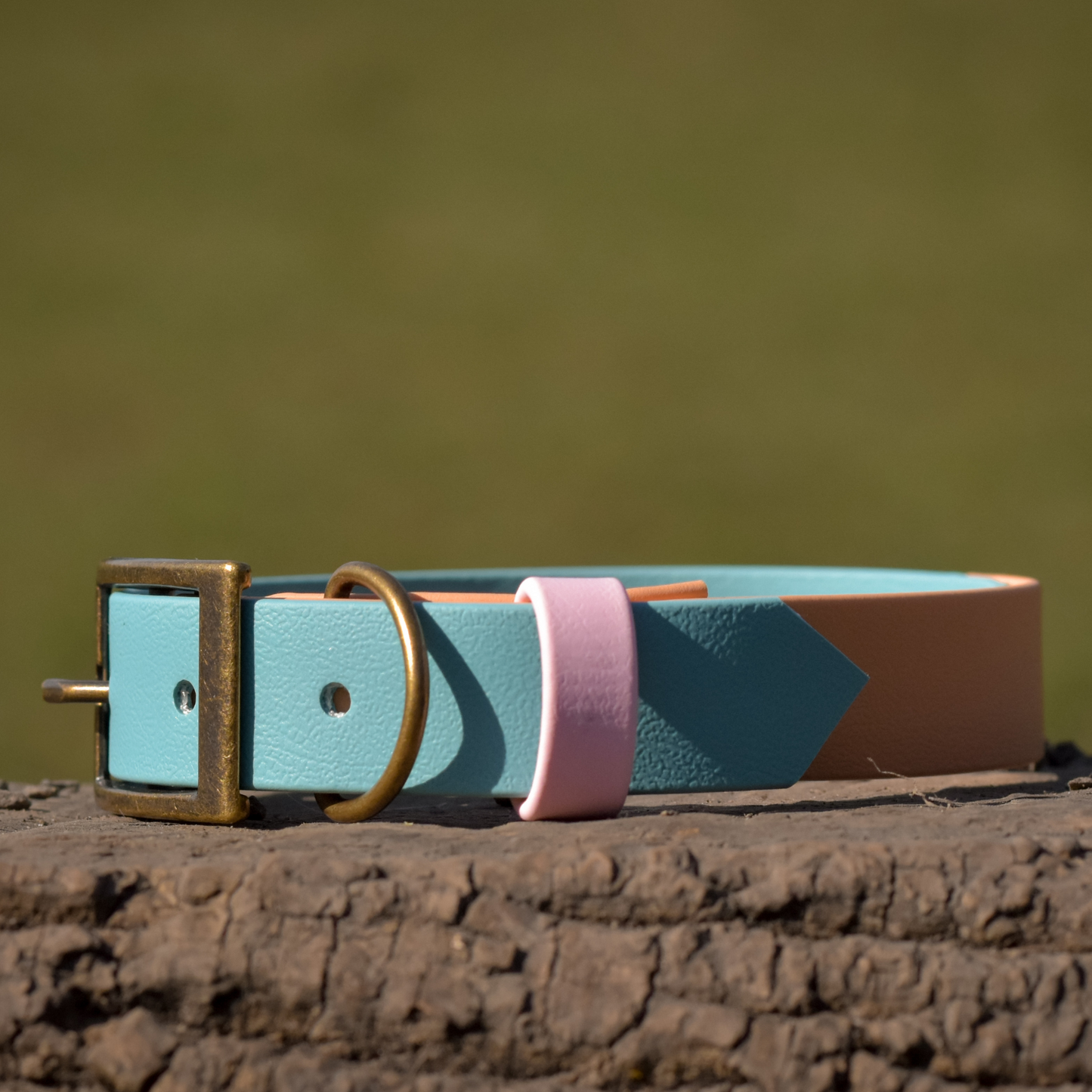 Ready to Ship: Two Tone Collars