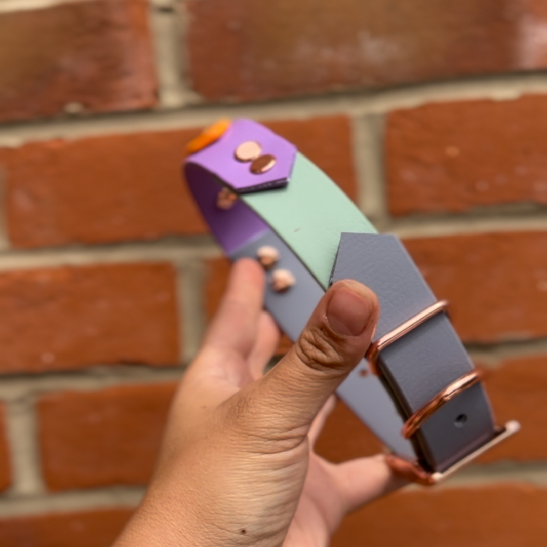 Three tone dog collar