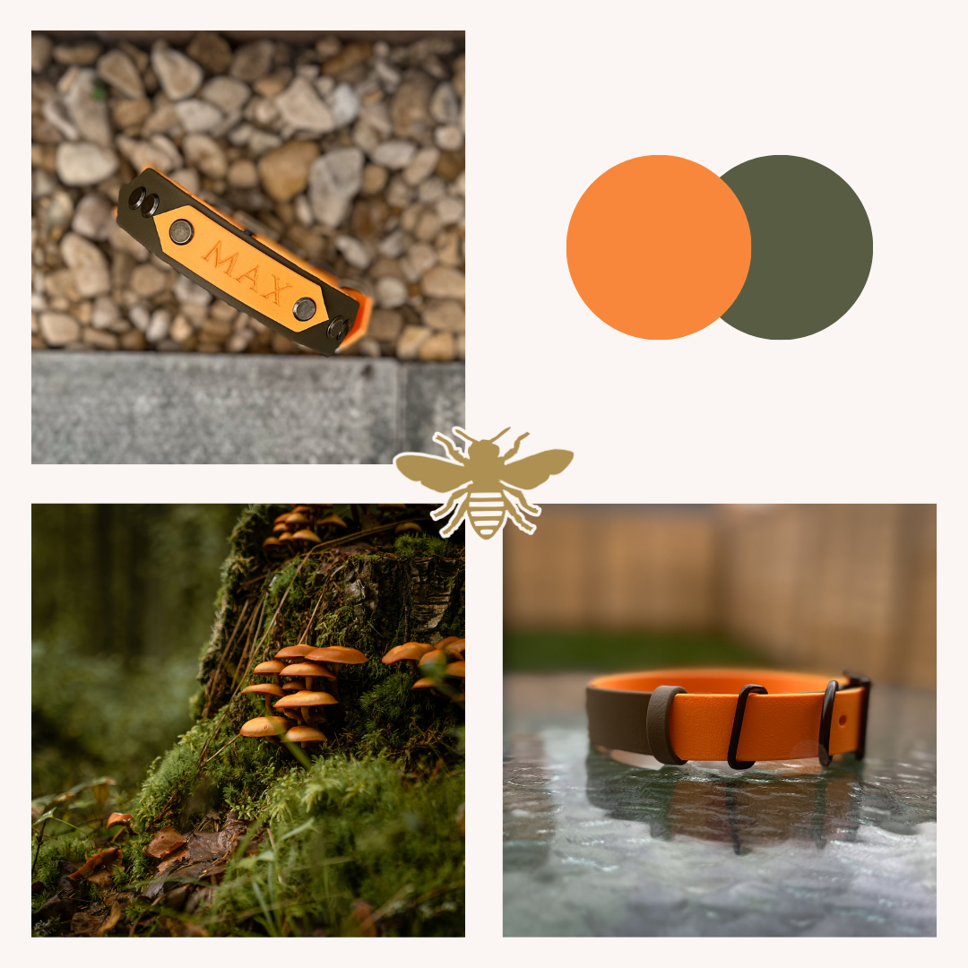 Autumnal dog collar moodboard: olive and peach