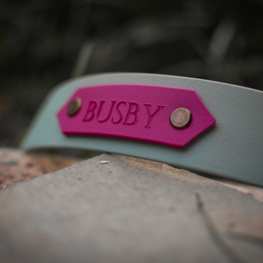 Sage green personalised dog collar with name busby on a pink nameplate