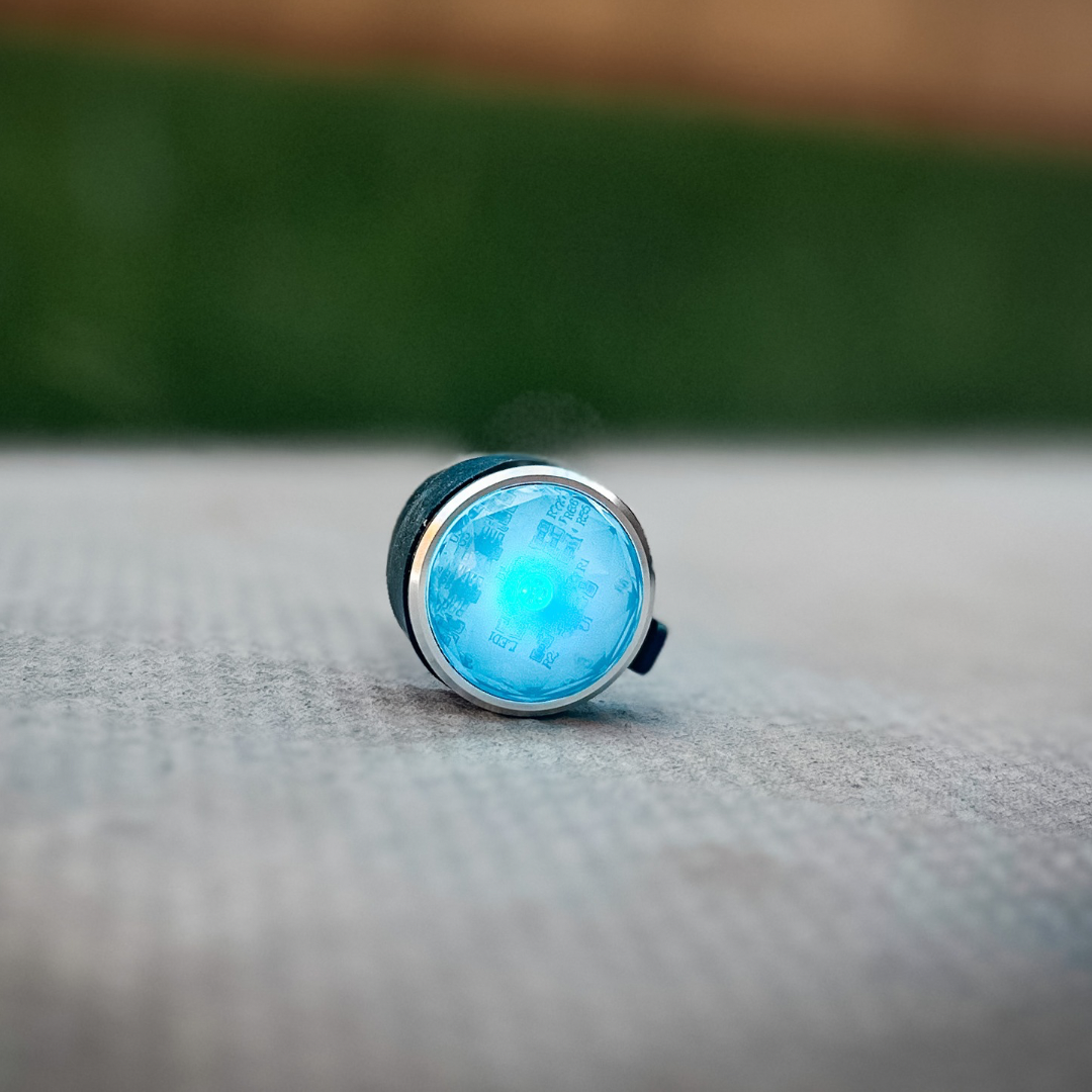 blue pet collar light