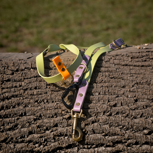 Ready to ship: Multiway Training Leads