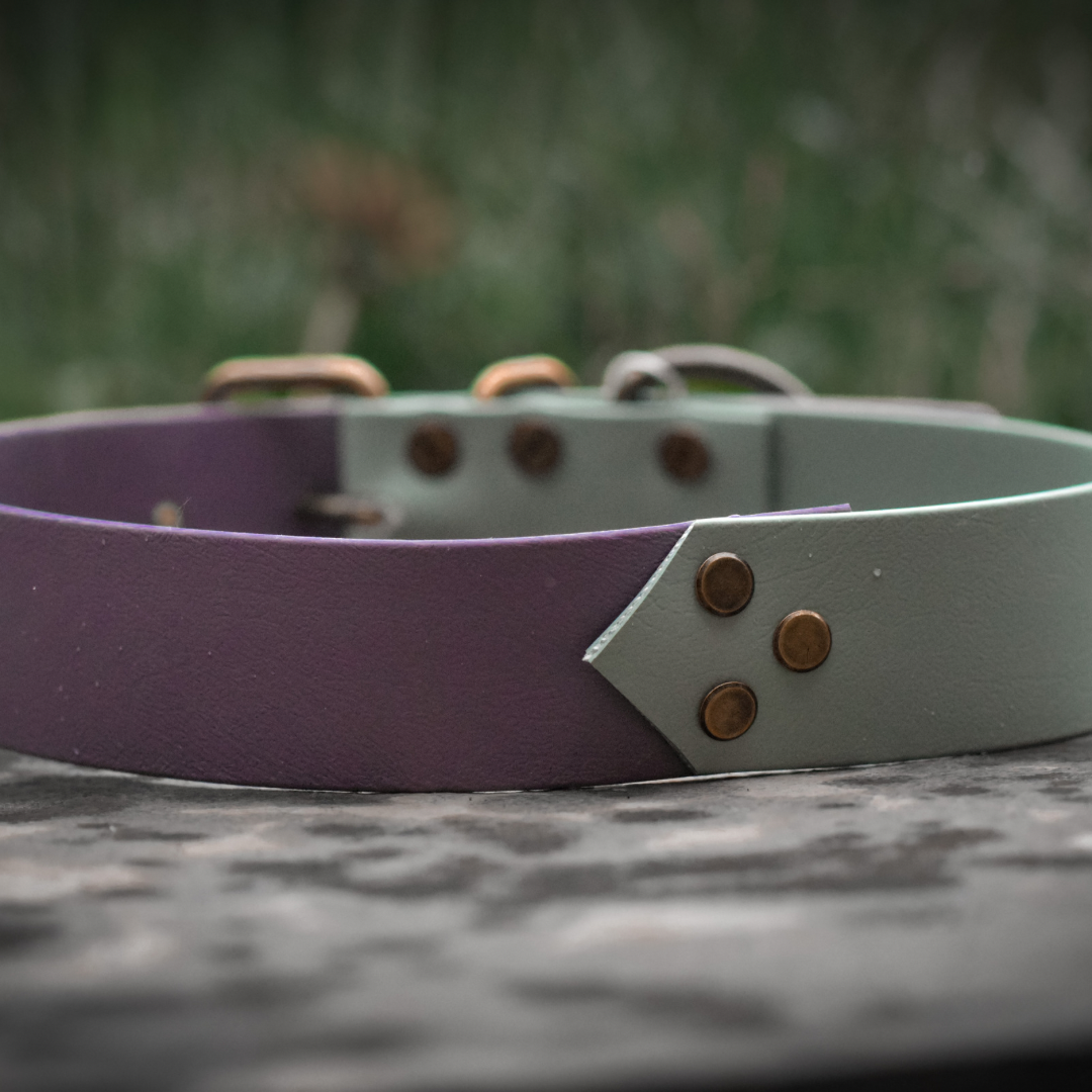 Sage & Mauve dog collar