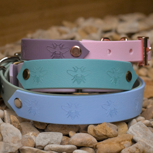 Ready to Ship: Bee Collars