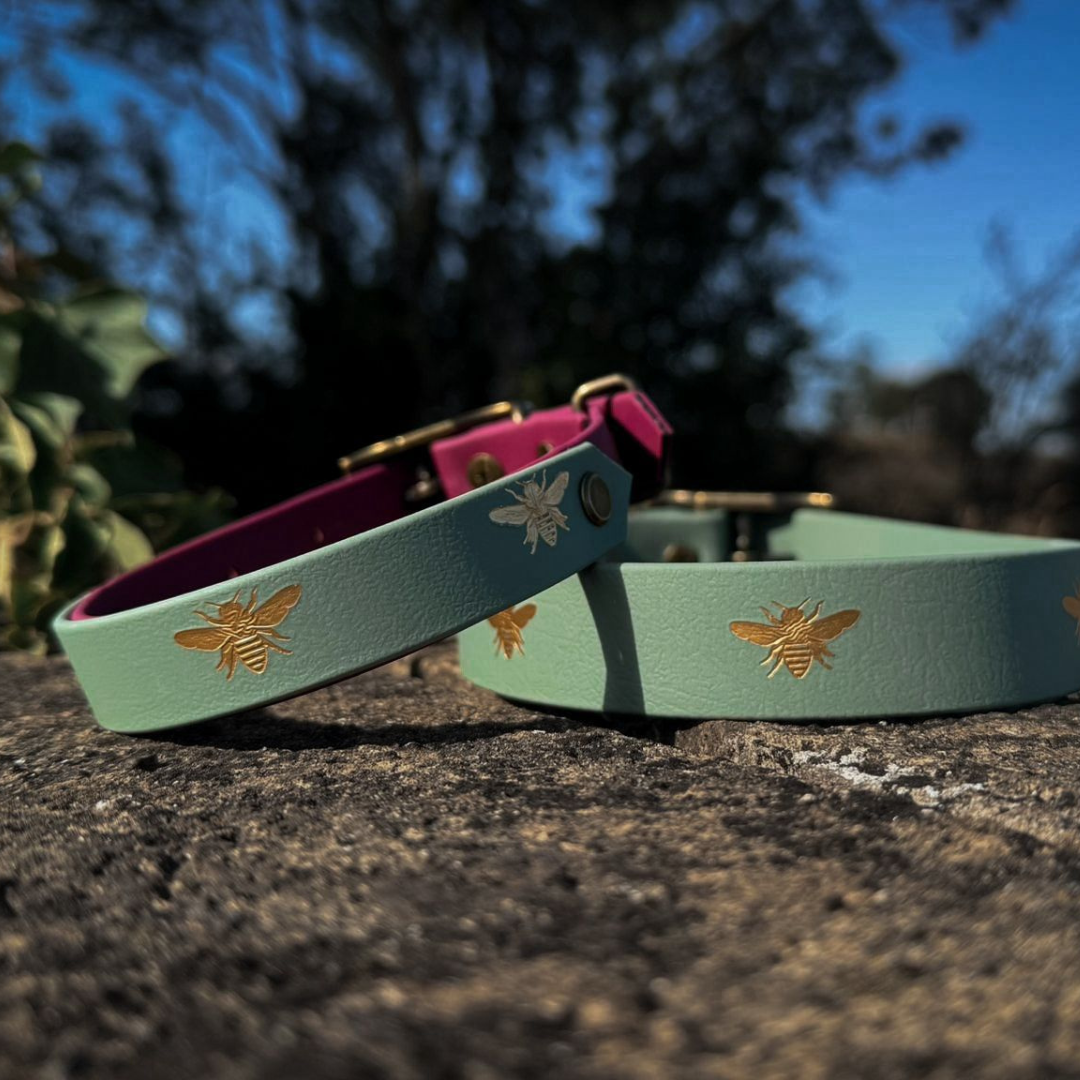 Ready to Ship: Foggy Green Bee Collars