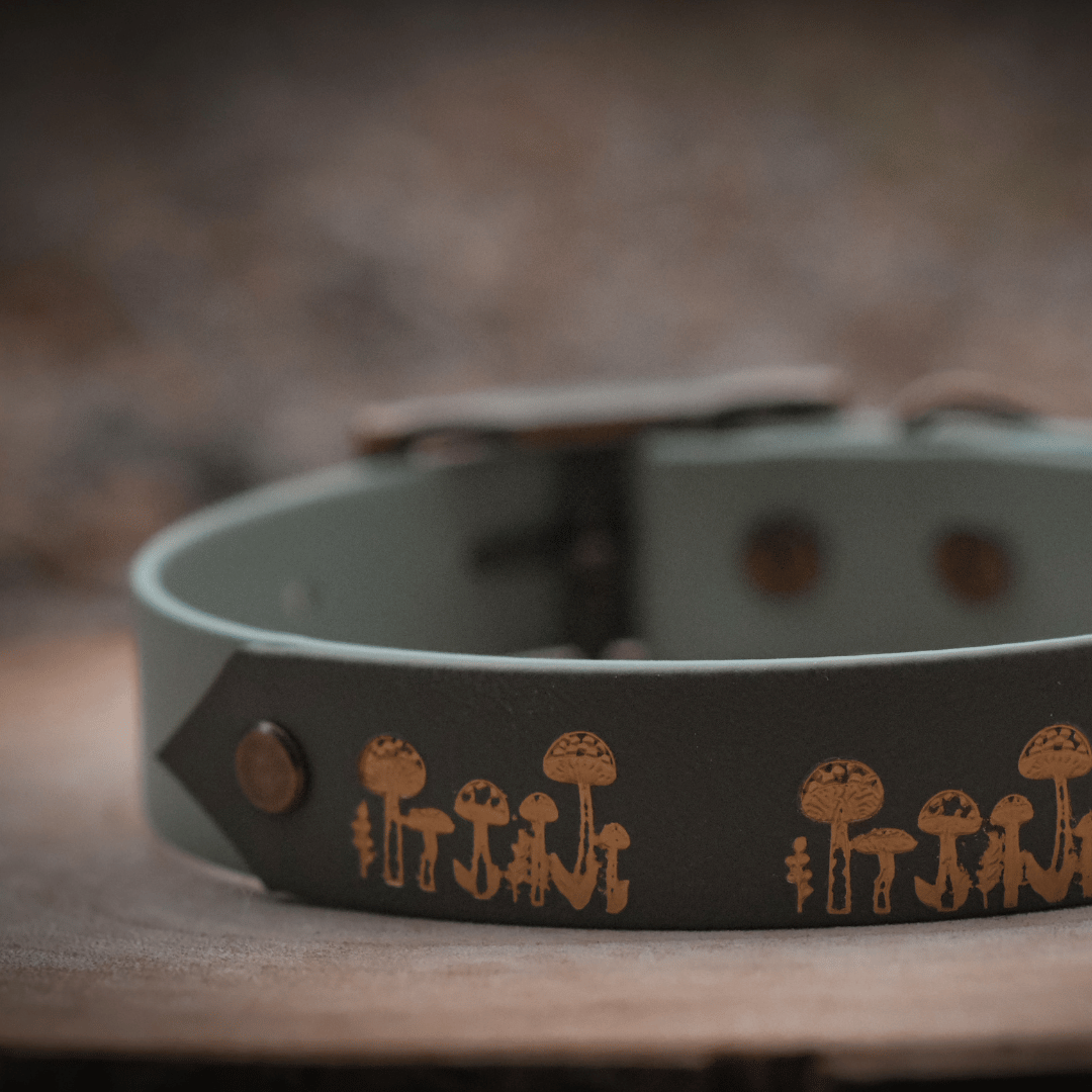 Dark green gold mushroom dog collars