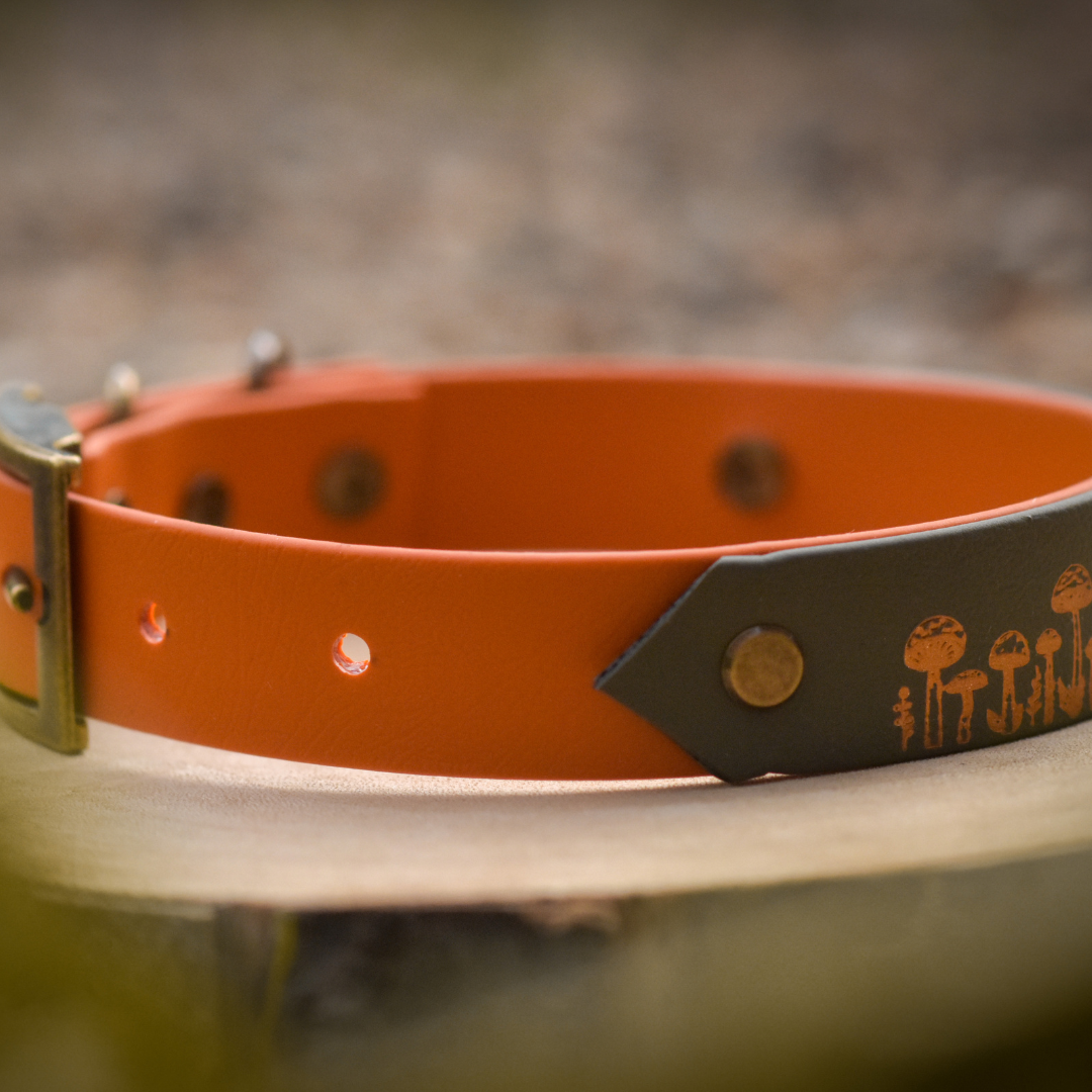 Orange and green autumn dog collars