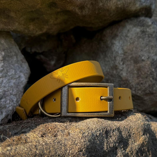 Mustard Embossed Bee Collar