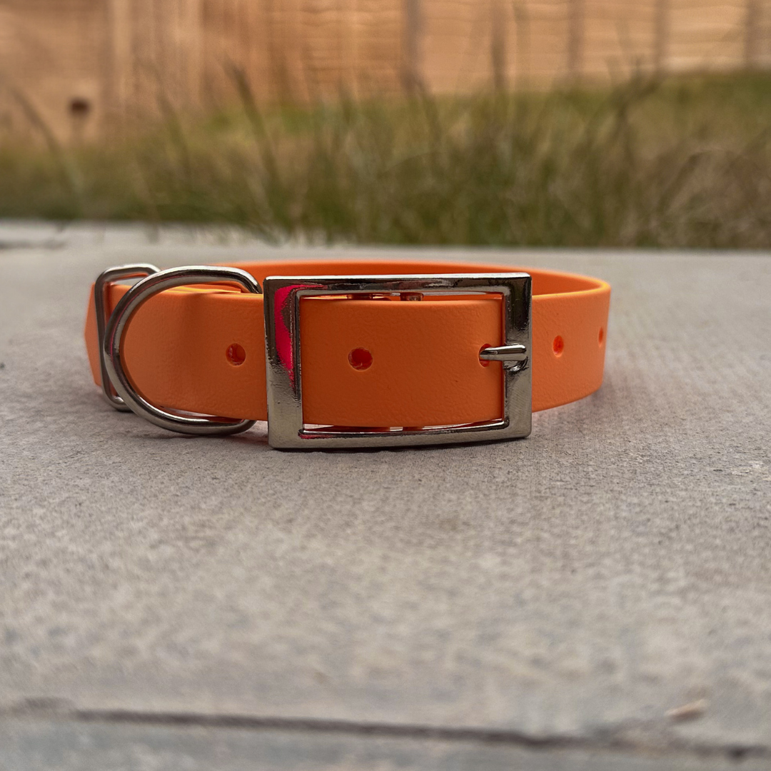 Ready to Ship: Core Collection Classic Collars