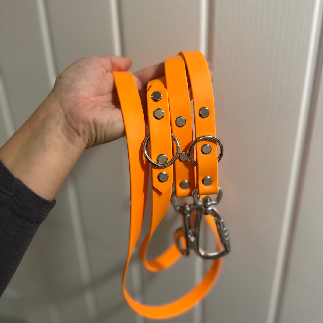 Core Collection Multiway Leads