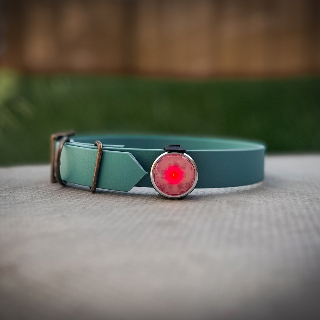 Red light for a dog collar
