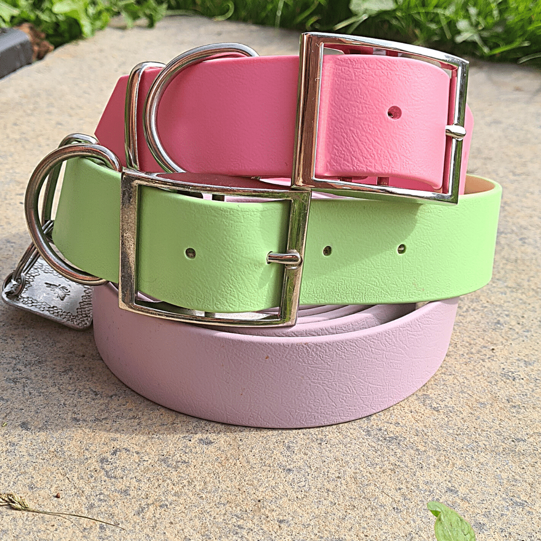 Big & Beautiful Pastels | Collars for big dog breeds