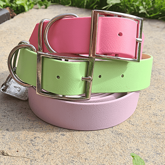 Big & Beautiful Pastels | Collars for big dog breeds