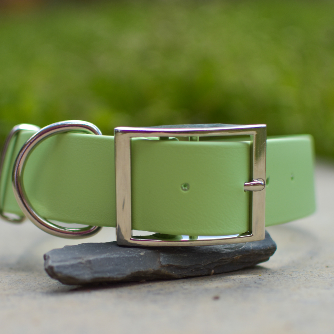 Big & Beautiful Pastels | Collars for big dog breeds