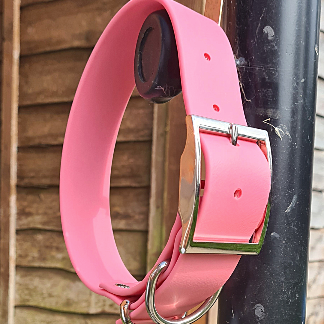 Big & Beautiful Pastels | Collars for big dog breeds