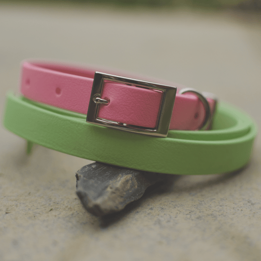 Miniature Dog Collars | Pastel Colours