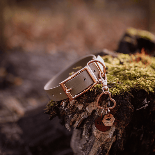 Olive Khaki Dog Collar
