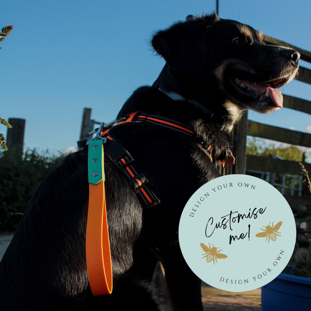 Like a dog on a leash hot sale