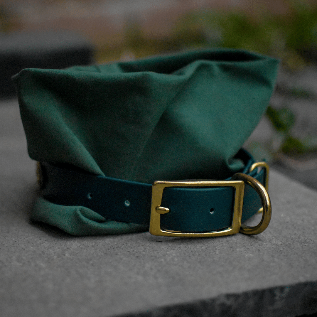 Biothane Hunter Green Dog Collar