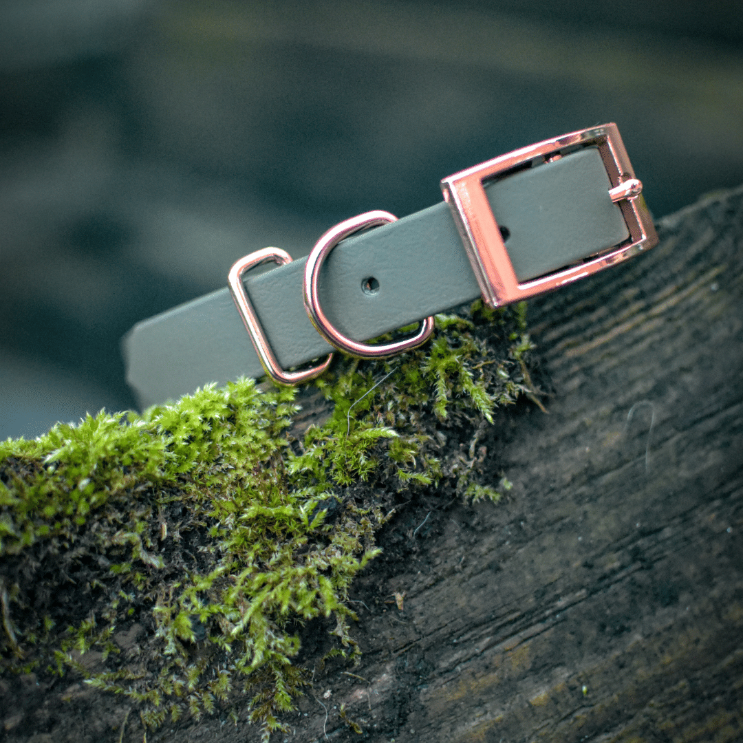 Olive Khaki Dog Collar
