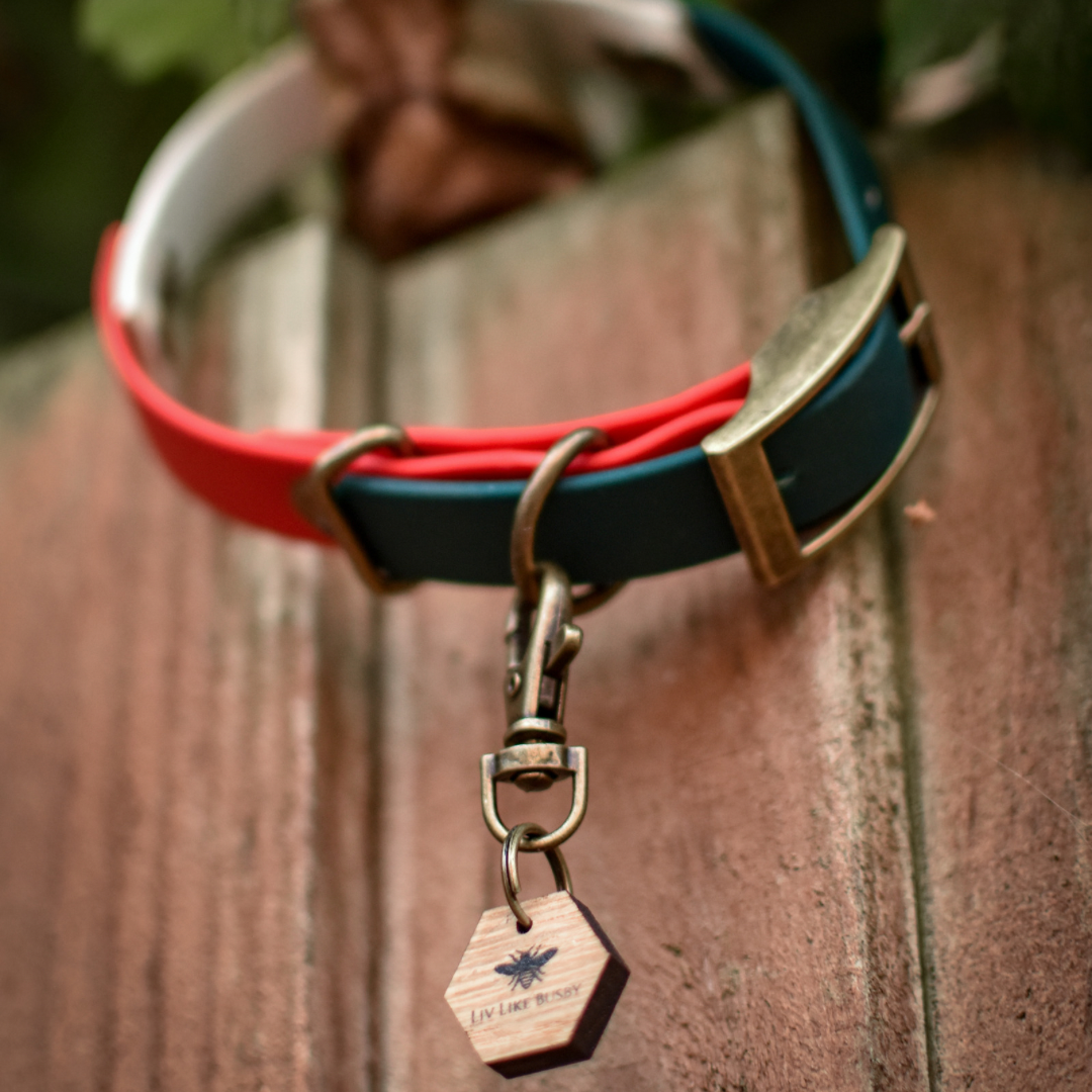 Christmas inspired dog collar, hanging with antique brass hardware