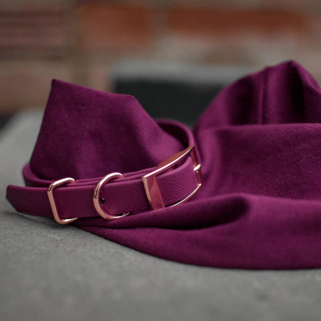 Merlot Red Dog Collar