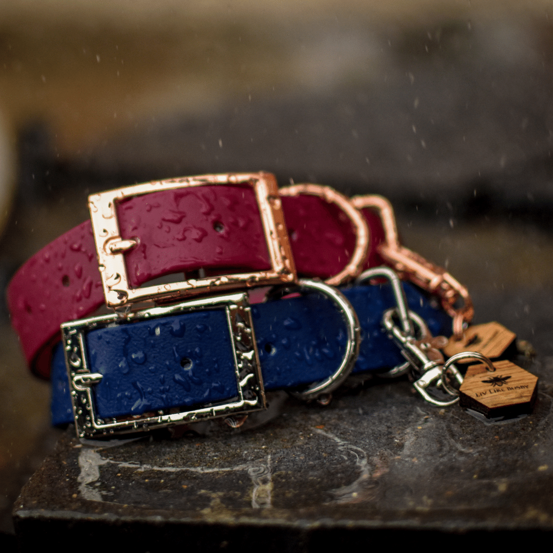 Merlot Red Dog Collar