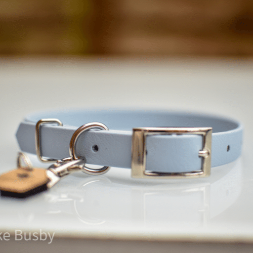 Baby blue dog clearance collar