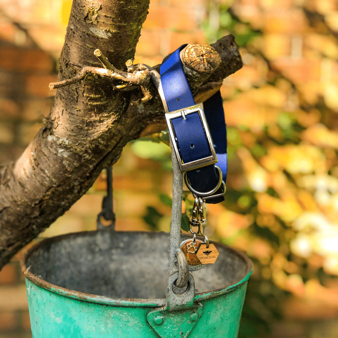 Biothane Navy Dog Collar