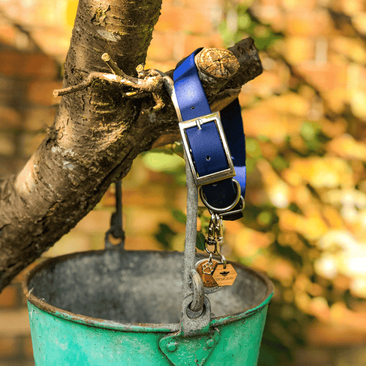 Biothane Navy Dog Collar
