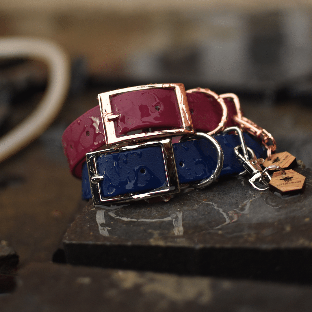 Biothane Navy Dog Collar
