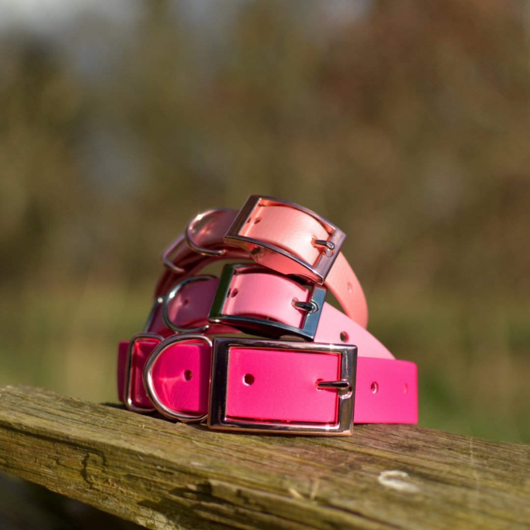 pink dog collar stack
