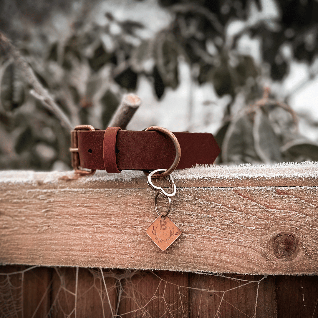 Custom Winter Biothane Dog Collars
