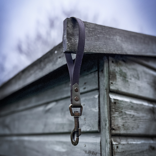 Short Dog Handle Lead