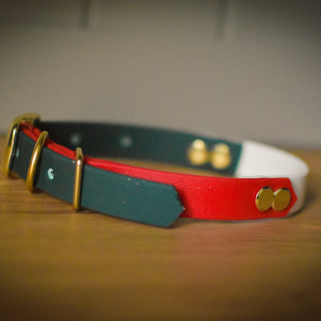Red White and Green Christmas Dog Collar with Solid Brass Hardware