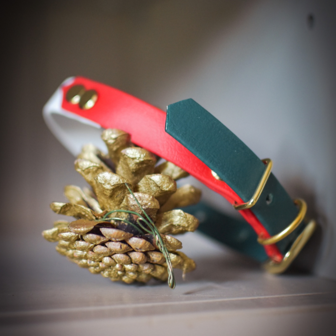 Christmas themed dog collar sitting on a gold pine cone
