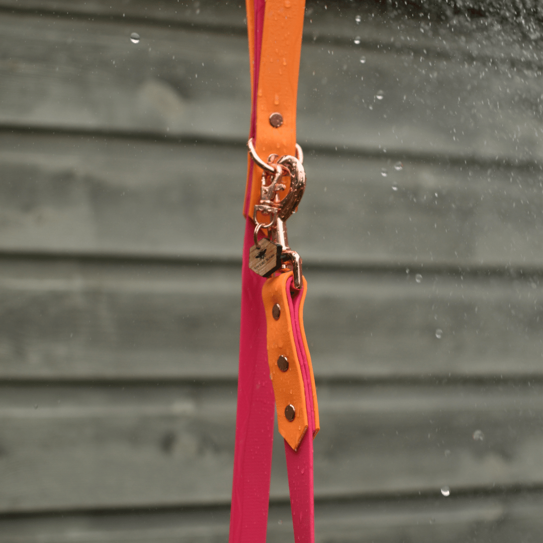 Custom Biothane Waterproof Dog Lead