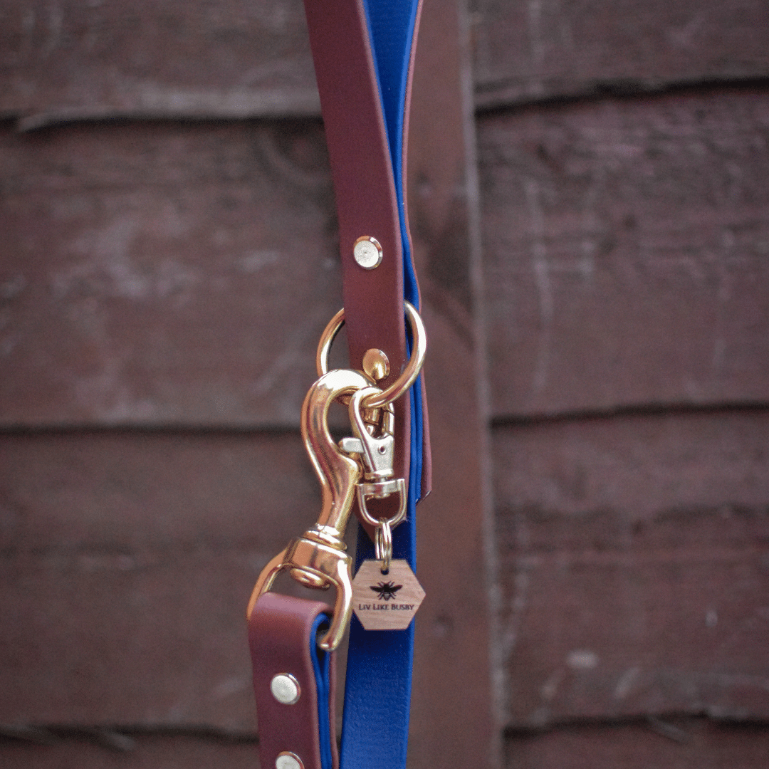 Custom Biothane Waterproof Dog Lead